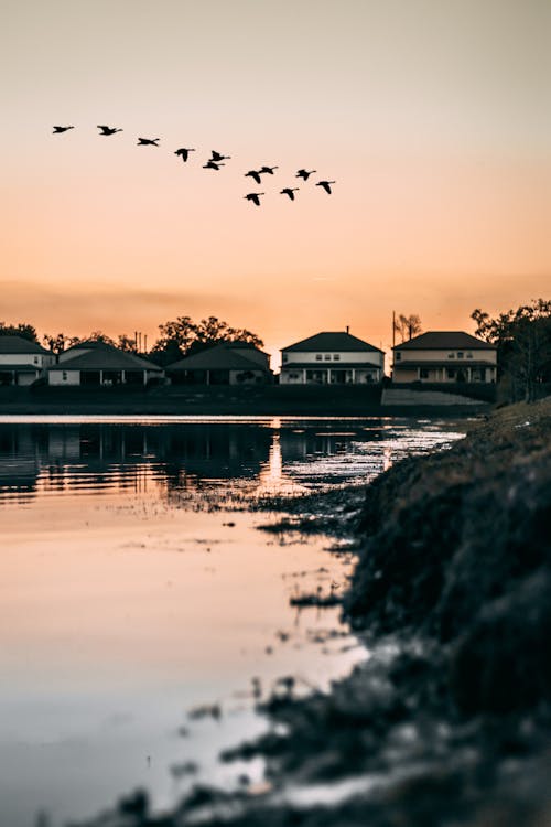 Scenic Photo Of Houses During Dawn