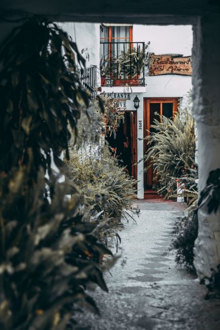 A quaint restaurant entrance surrounded by lush plants, inviting ambiance outdoors.