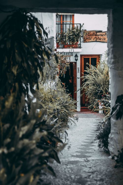 Free A quaint restaurant entrance surrounded by lush plants, inviting ambiance outdoors. Stock Photo