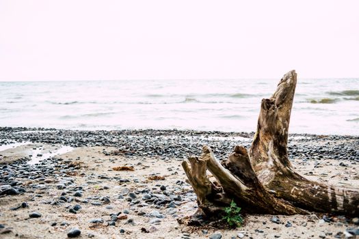 Free stock photo of baltic, beach, coast