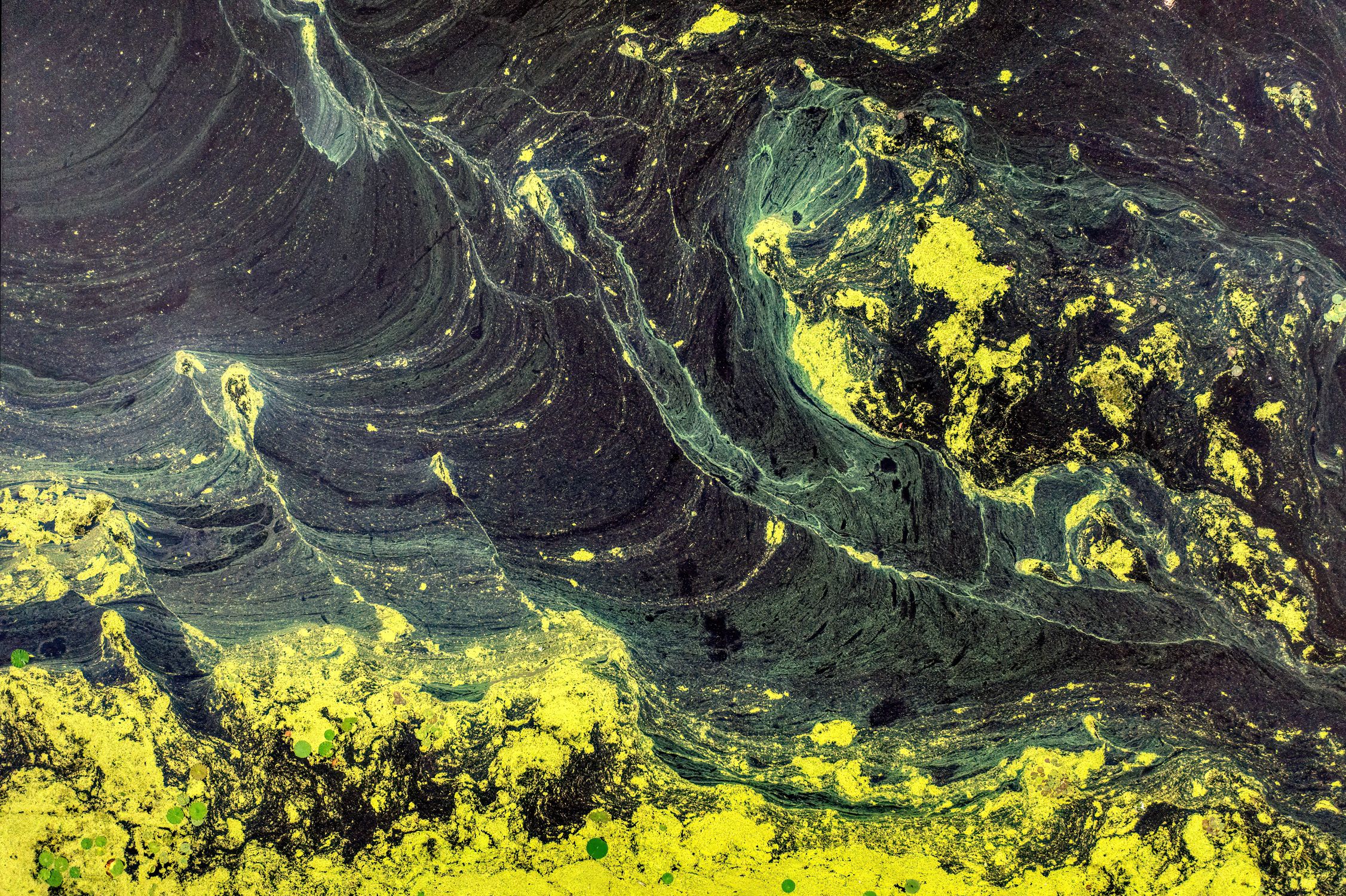 Abstract Swirling Green and Yellow Patterns · Free Stock Photo