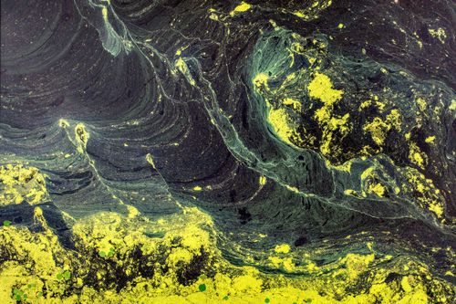 Free Vibrant abstract pattern of swirling green and yellow colors with textured depth. Stock Photo