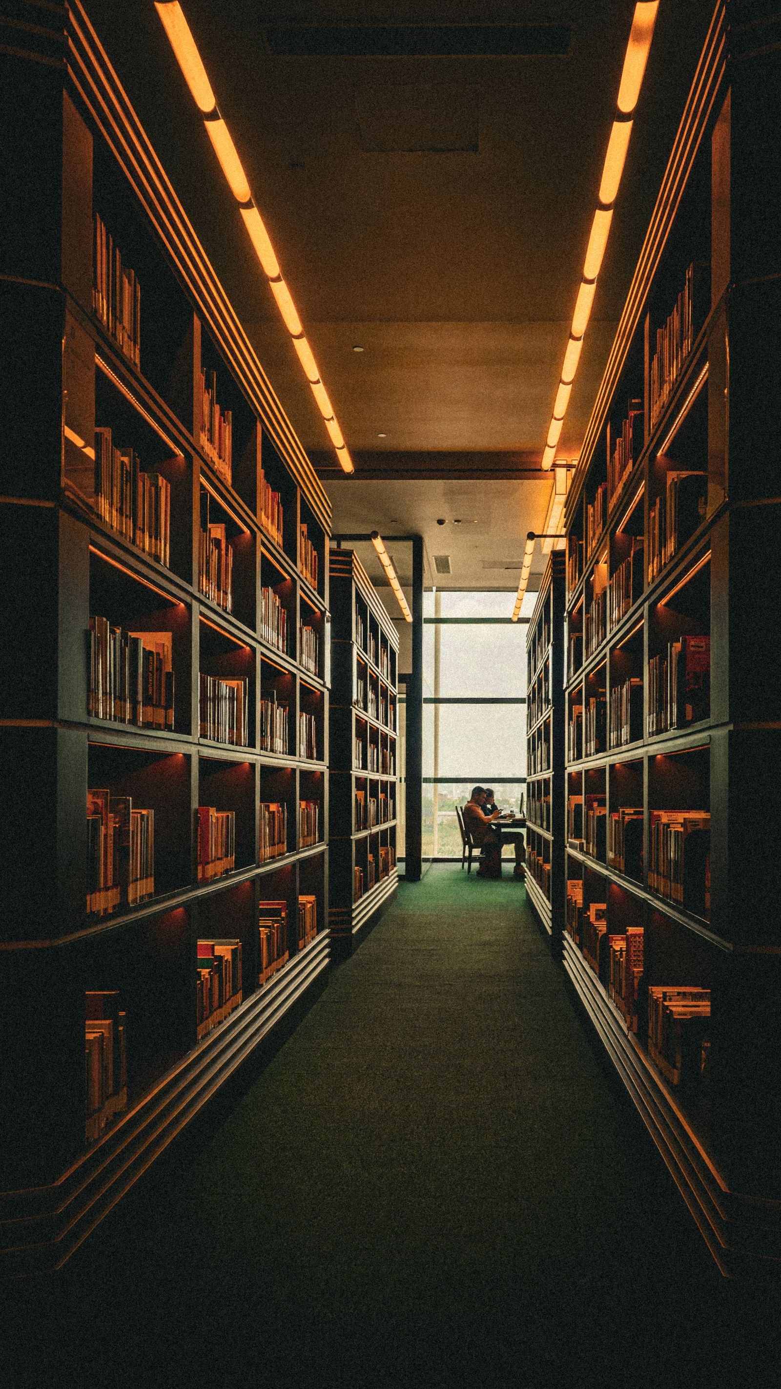 Quiet Session Library Quiet study session in a library aisle · Free Stock Photo