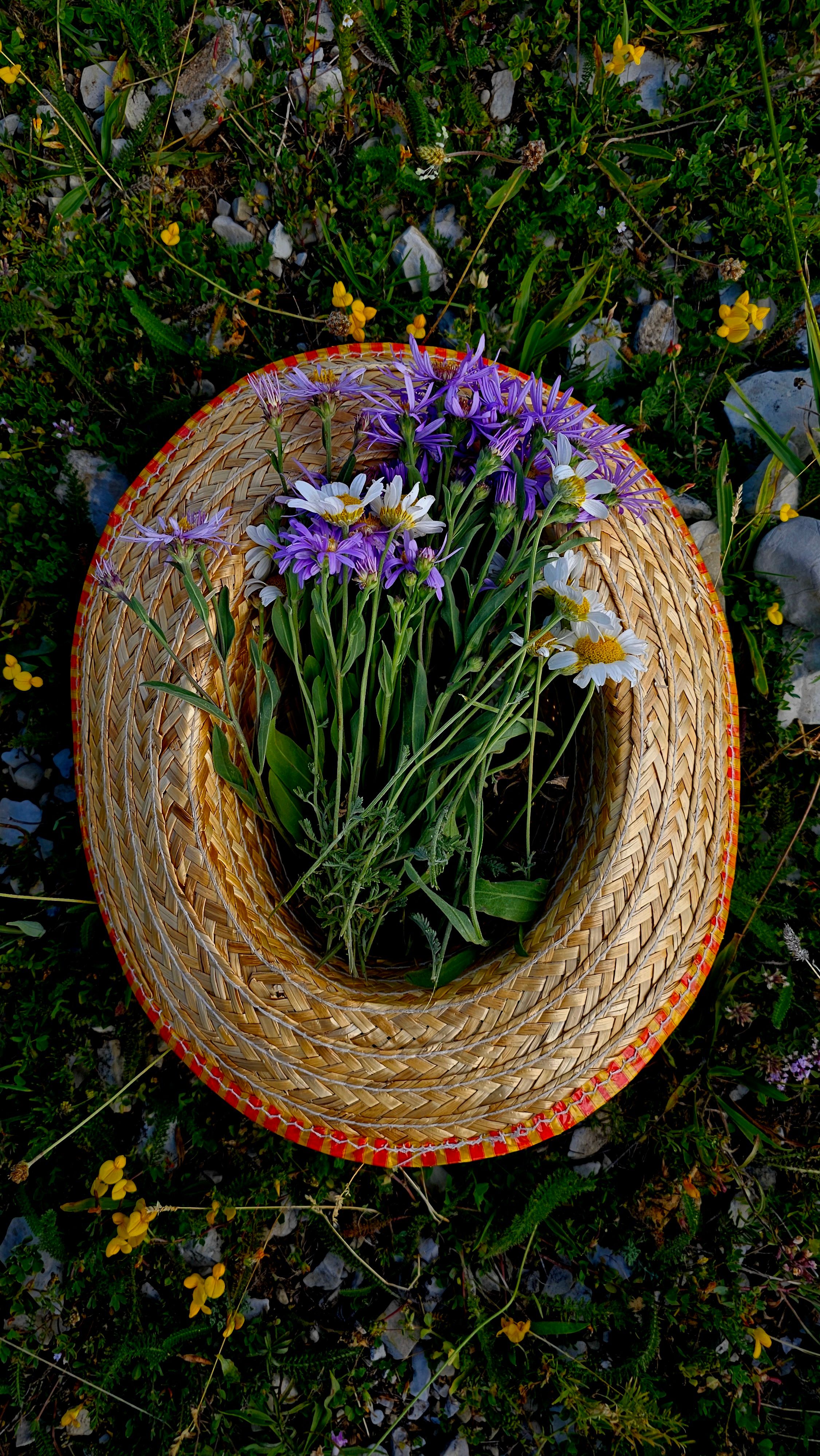 Vibrant Wildflowers Arranged in a Straw Hat Outdoors · Free Stock Photo