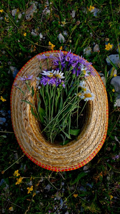 Vibrant Wildflowers Arranged in a Straw Hat Outdoors · Free Stock Photo