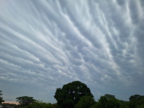 Free nubes grises Stock Photo