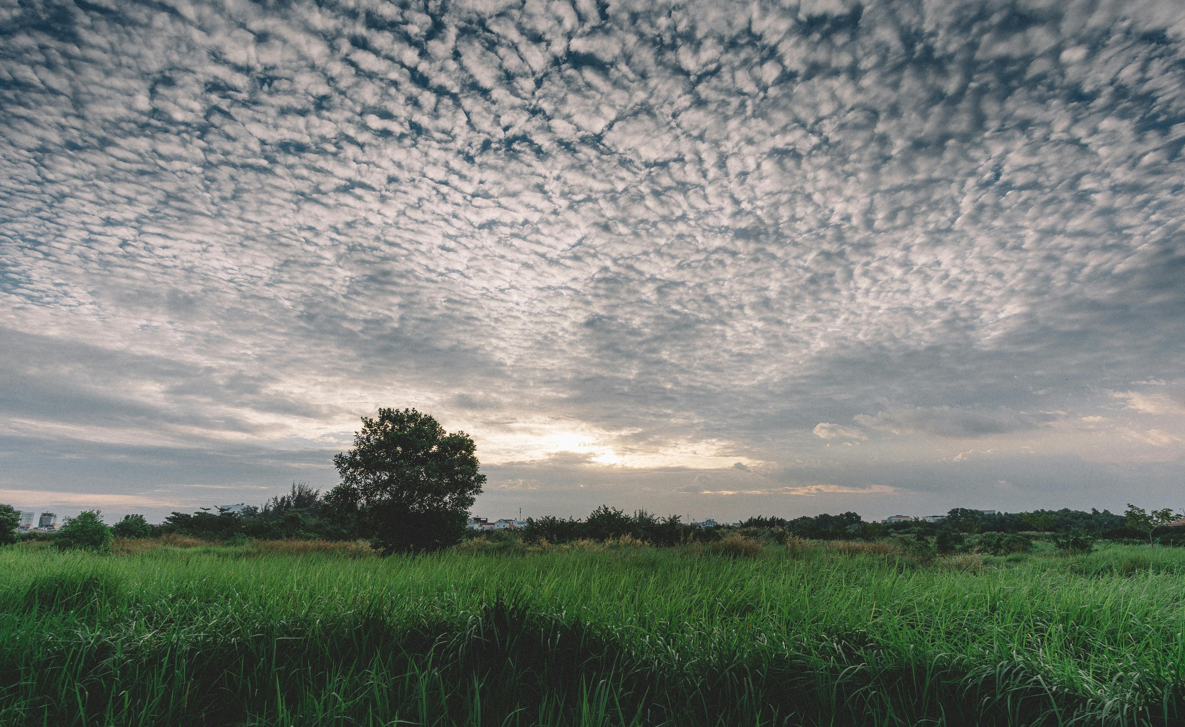 480,458 Cloudy Sky Field Royalty-Free Photos and Stock Images