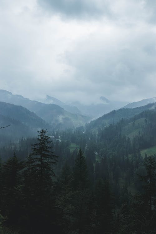 Free stock photo of cloudy skies, cloudy sky, foggy landscape
