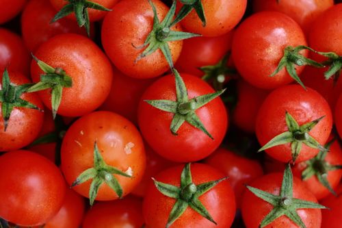 Free A vibrant collection of ripe red cherry tomatoes, highlighting their freshness. Stock Photo