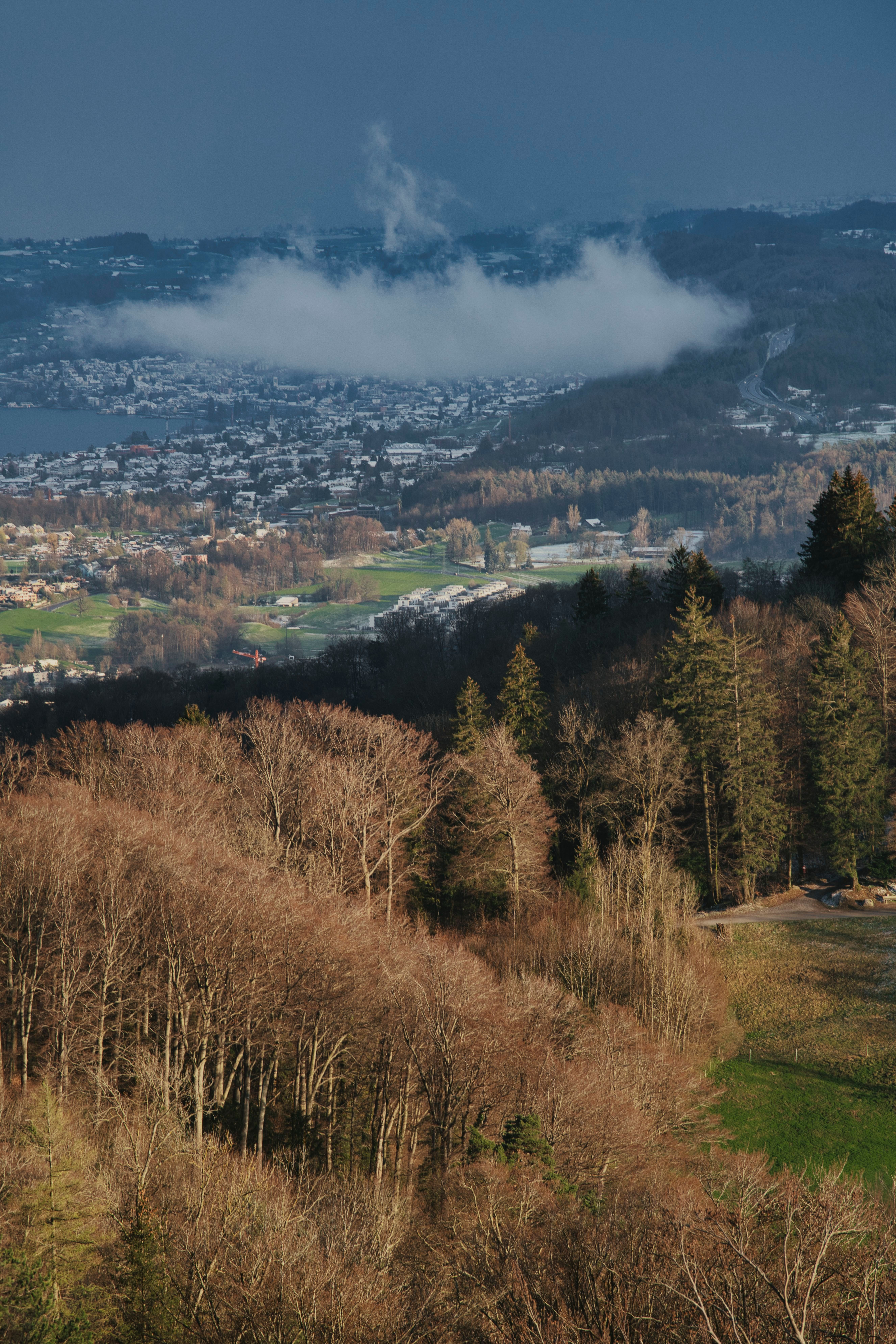 Aerial View of Scenic Landscape with Forests and Town · Free Stock Photo
