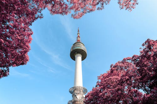 Free Low-Angle Photo of N Seoul Tower Stock Photo