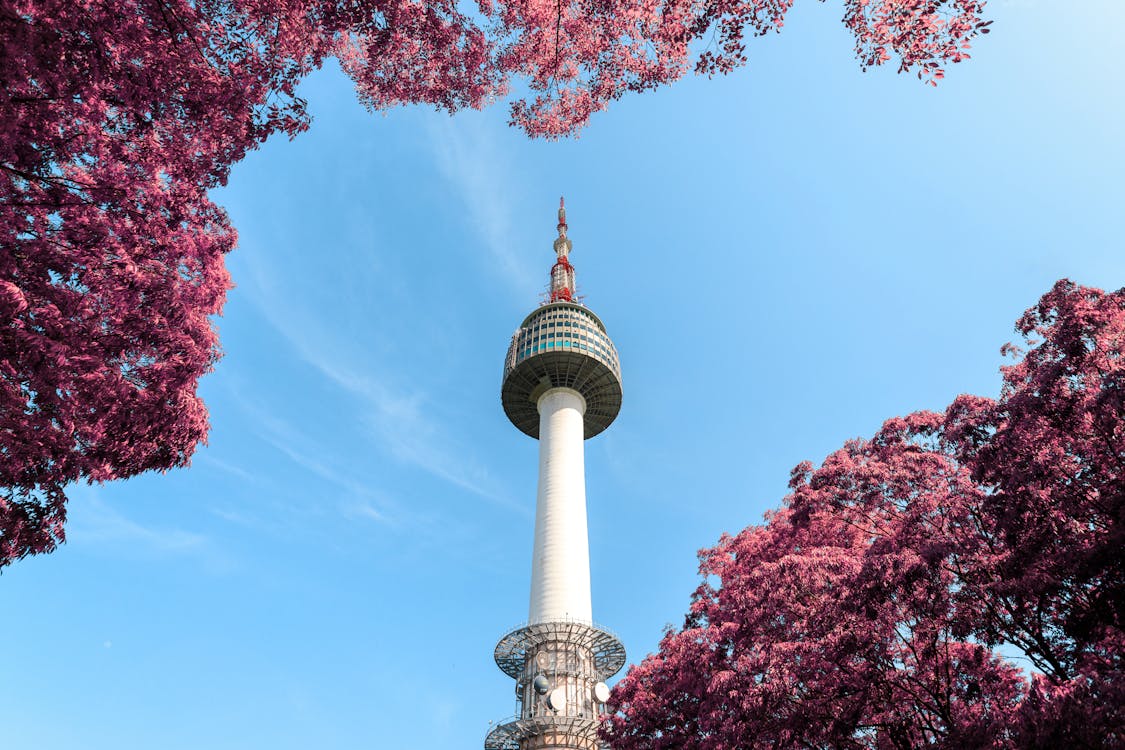 Free Low-Angle Photo of N Seoul Tower Stock Photo