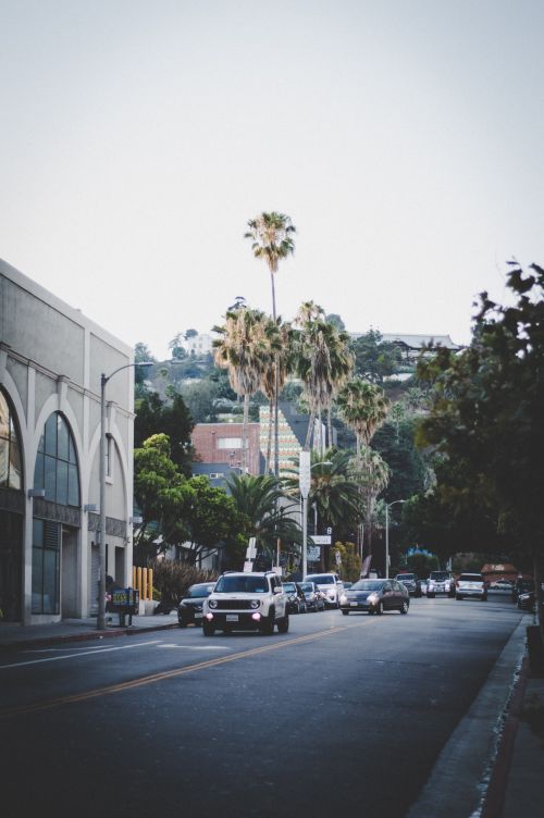 Free A city street in Los Angeles featuring palm trees and vehicles under a clear sky. Stock Photo