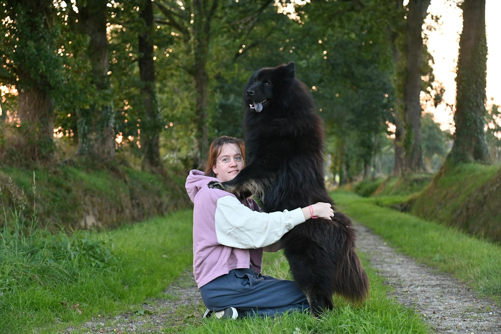 Vrouw omhelst grote zwarte hond in bospad