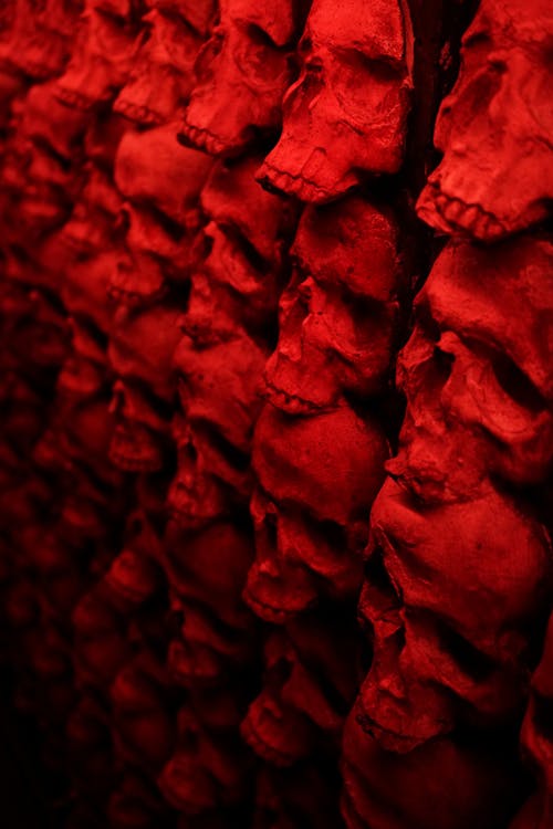 Free Human Skull Lot Stock Photo