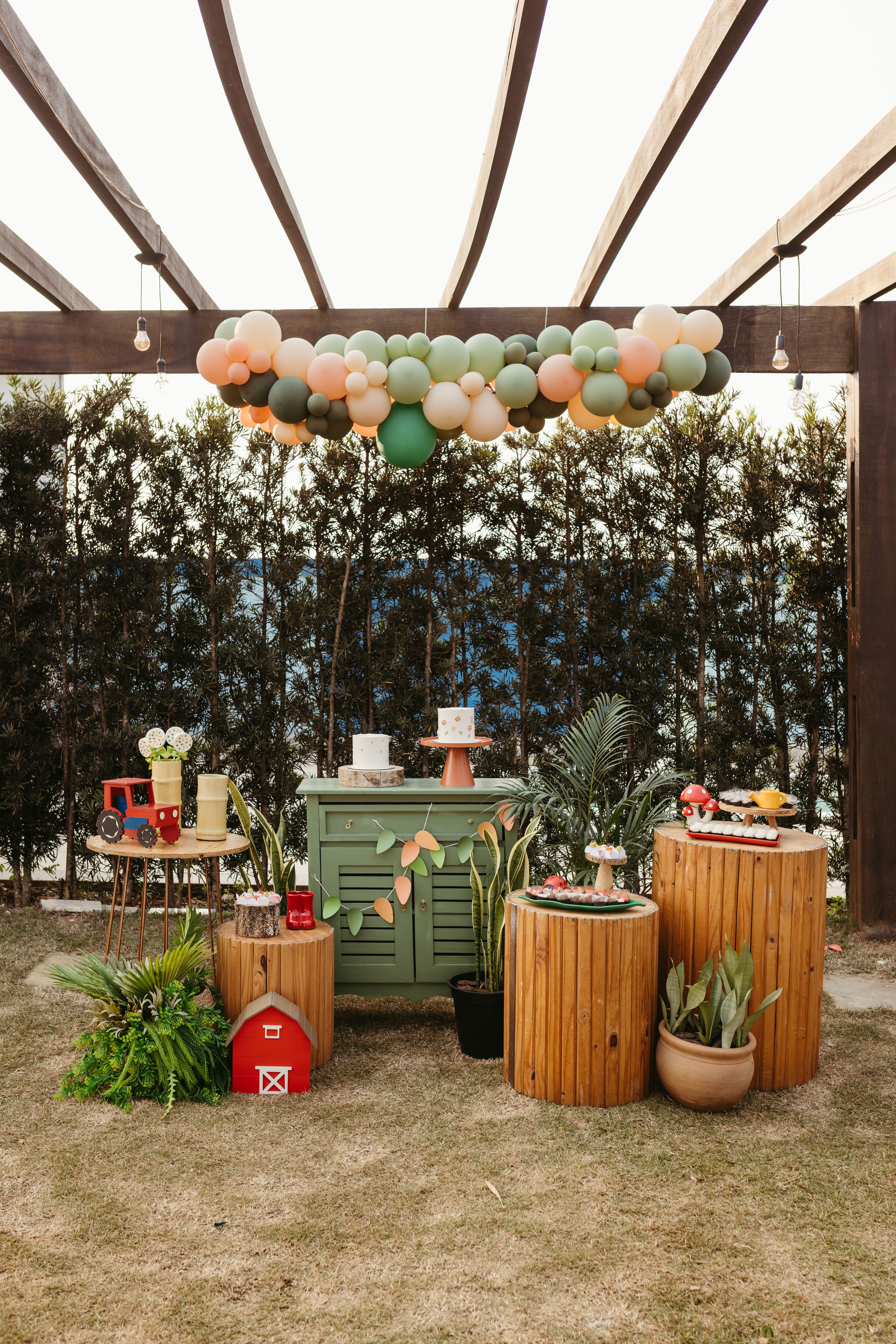 Rustic Outdoor Party Decor with Balloons and Plants · Free Stock Photo