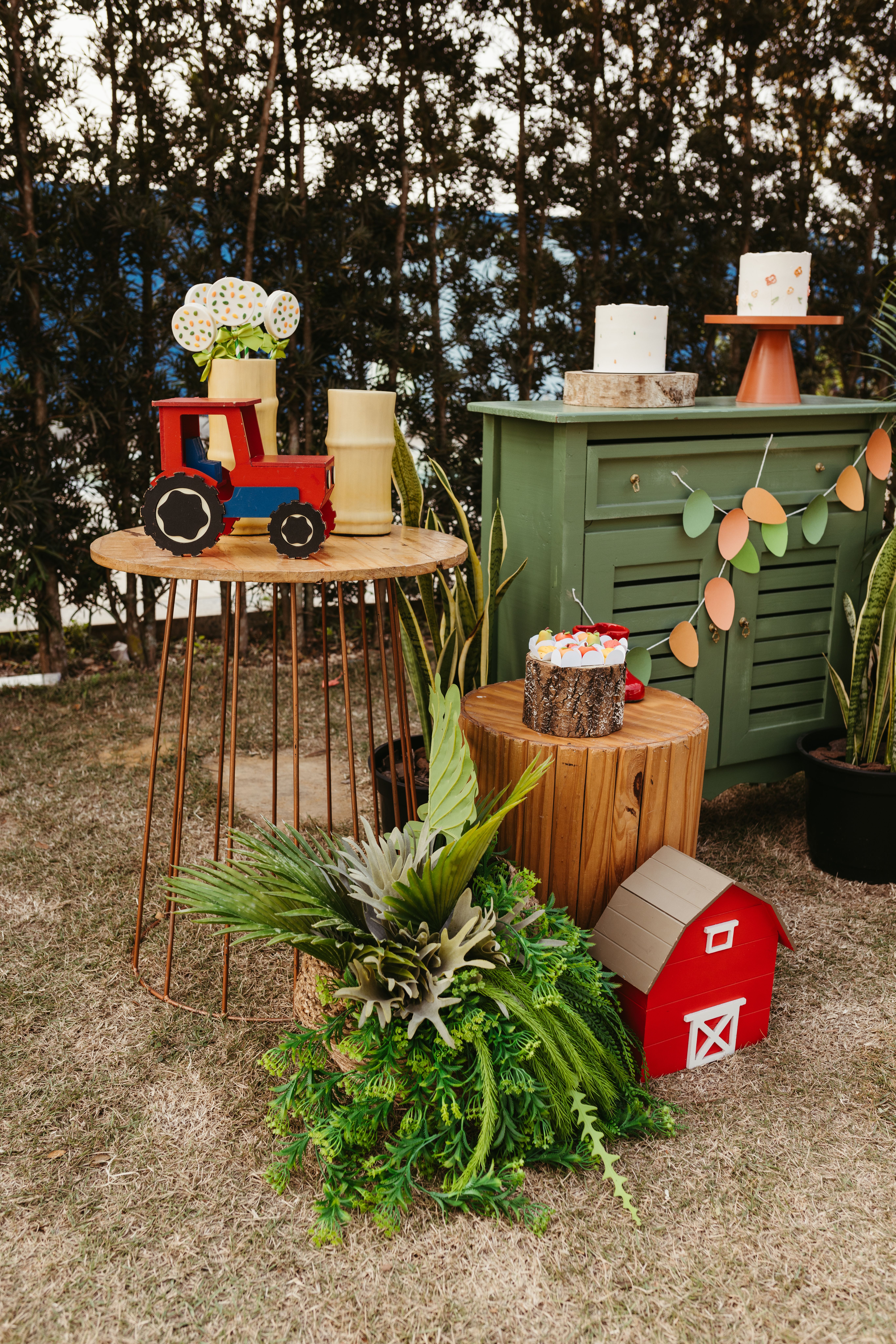 Rustic Farm-Inspired Outdoor Party Decor · Free Stock Photo