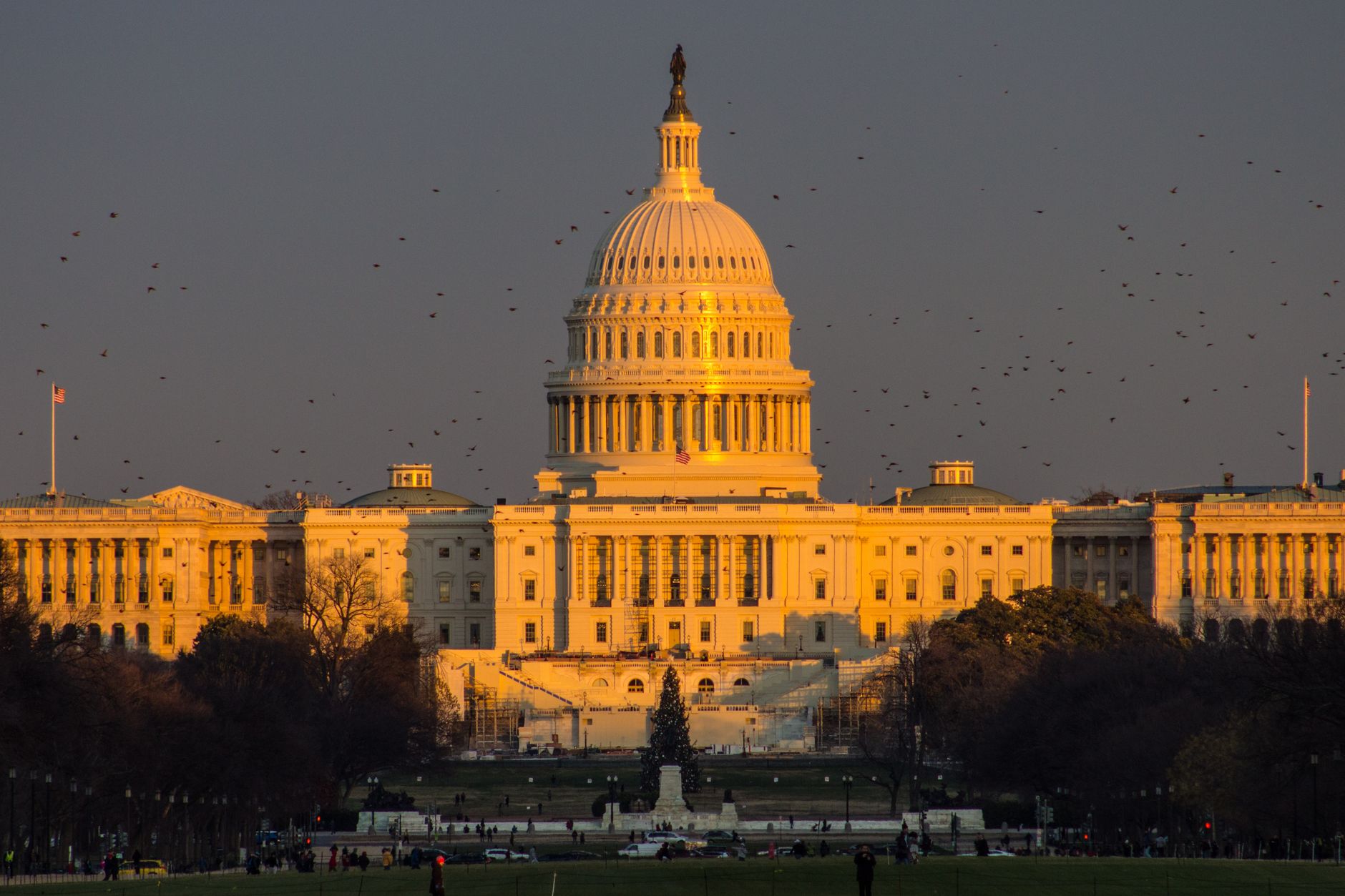 McConnell's Fall and Silence Signal Leadership Uncertainty, Investors Eye Succession Risks