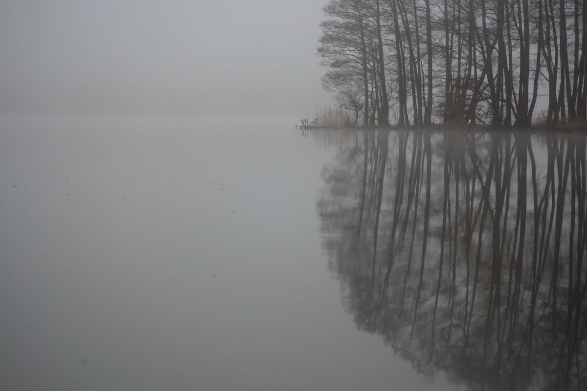 Árvores refletidas num lago calmo envolto em névoa