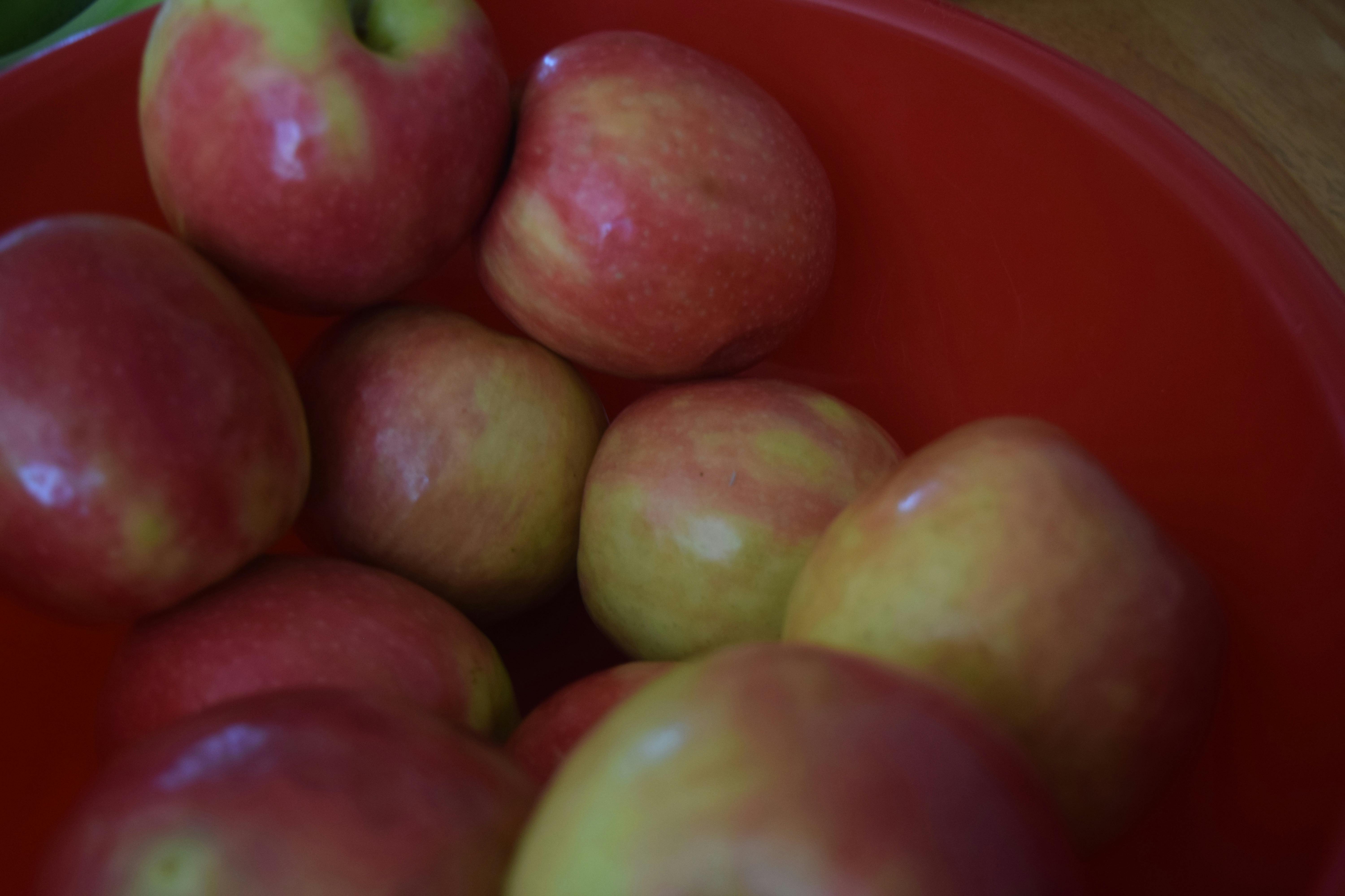 りんご 赤いリンゴの無料の写真素材