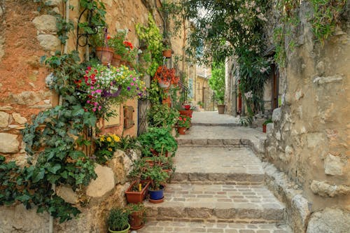 Narrow Paved Walkway With Decorative Flowering Plants