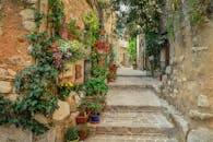 Narrow Paved Walkway With Decorative Flowering Plants