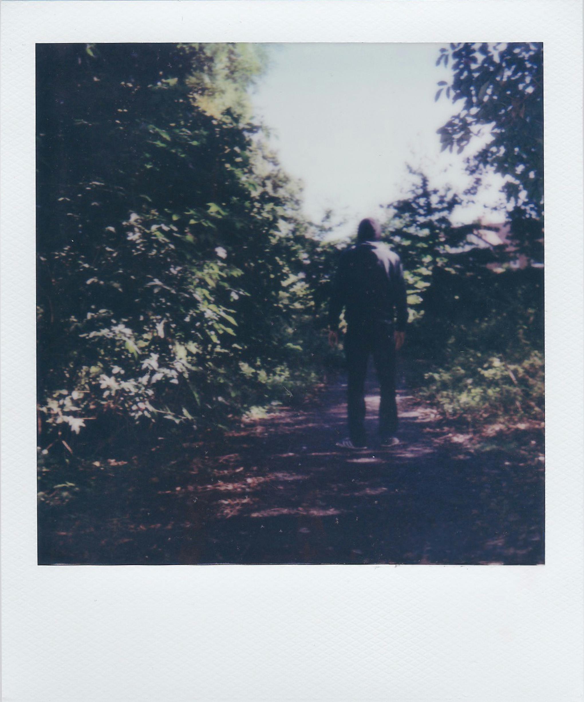 A silhouette of someone walking on a wooded path captured in an instant photography style.