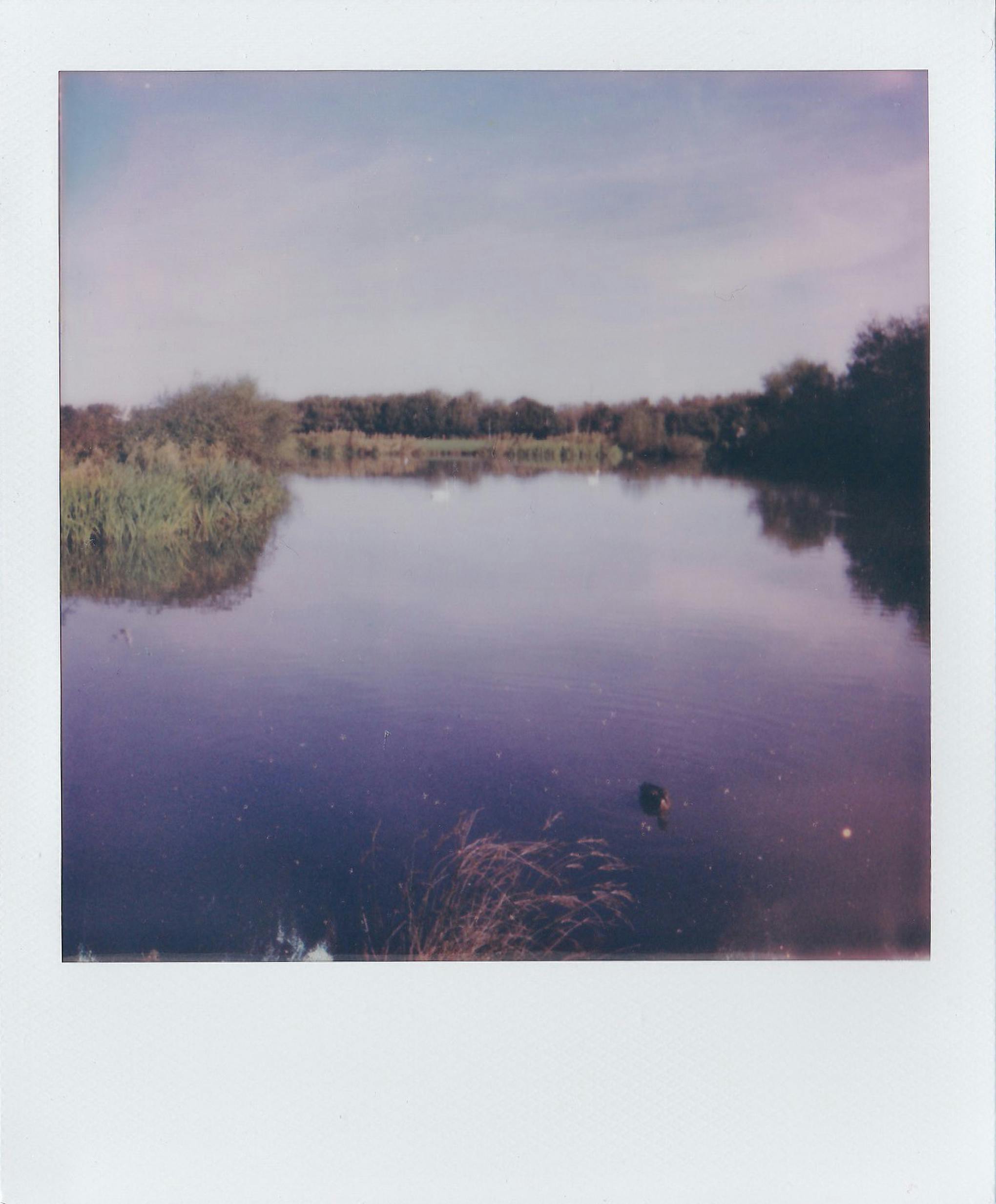 Tranquil lakeside view captured in a vintage polaroid style with calm waters and lush greenery.