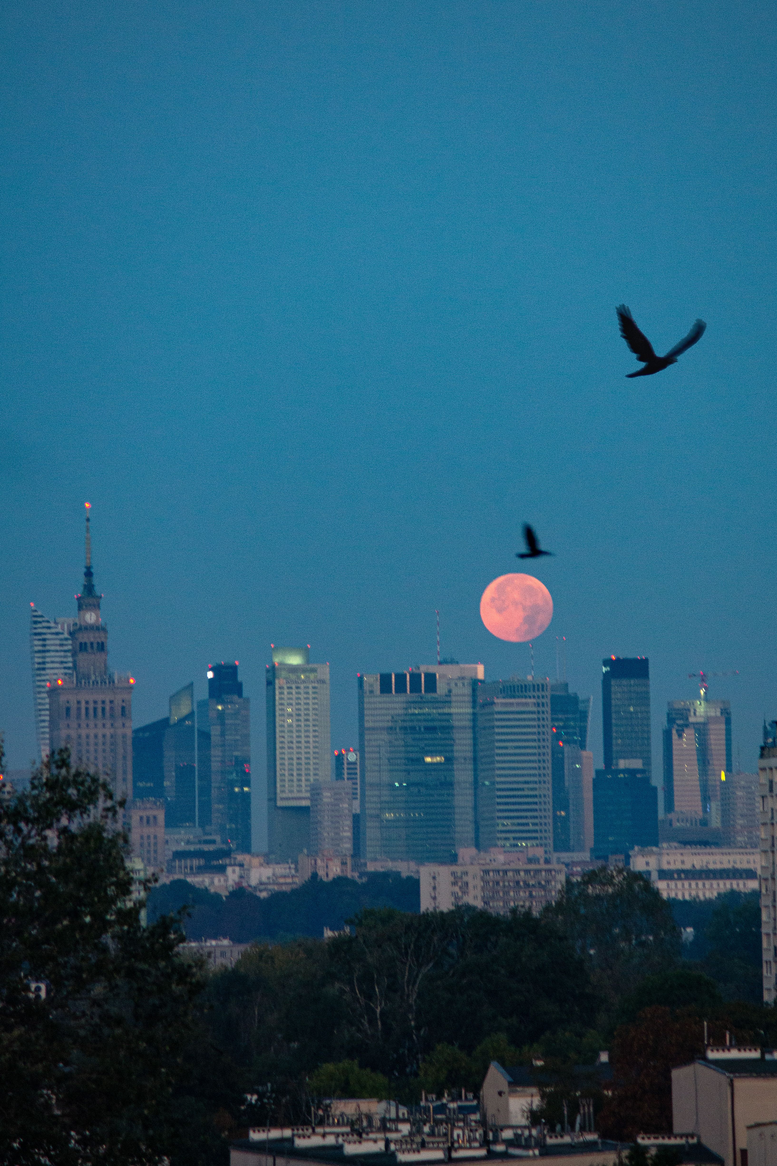 Blood Moon Over Warsaw Skyline at Twilight · Free Stock Photo