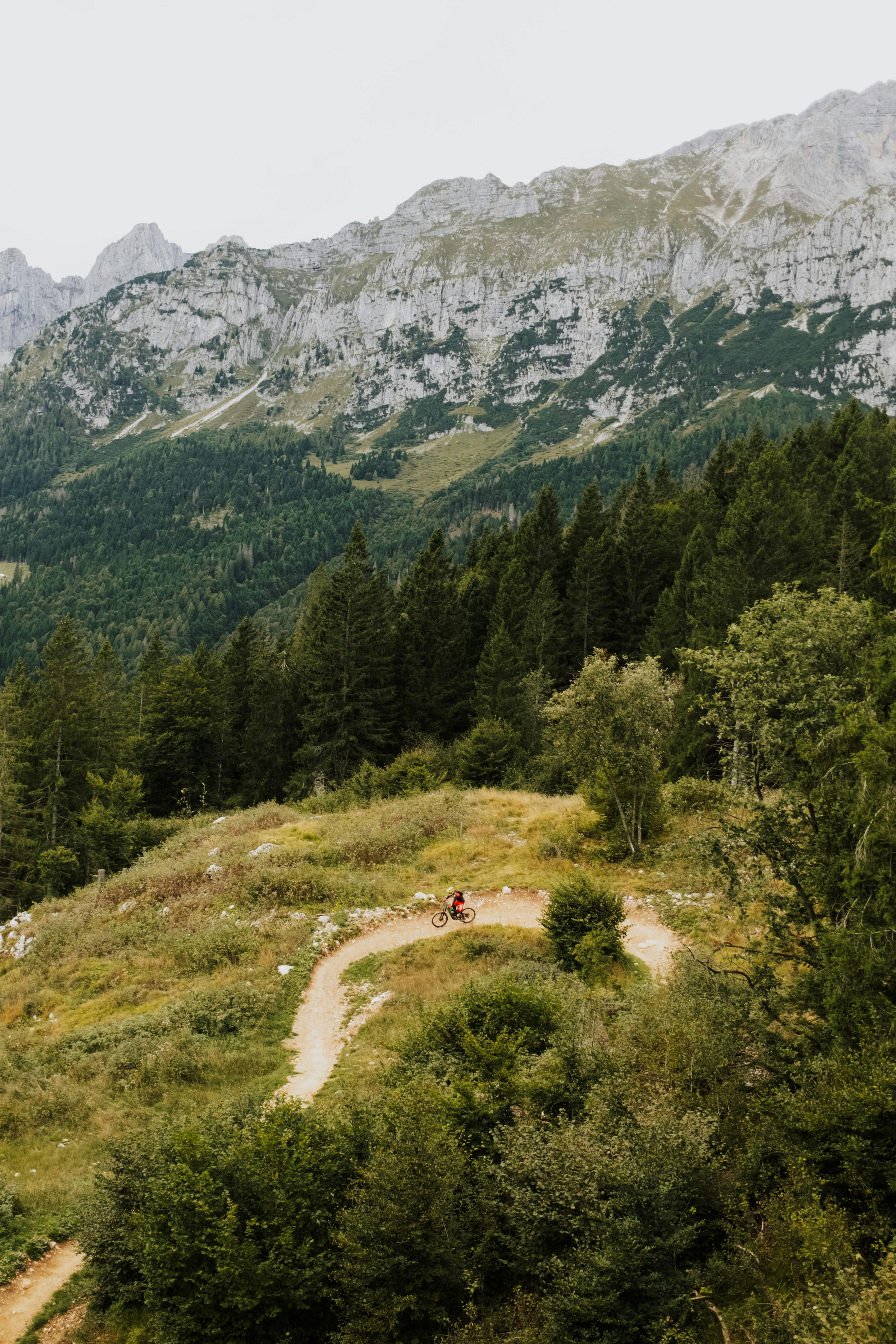 Explore the scenic trails of Molveno, Italy with an exhilarating mountain biking adventure.
