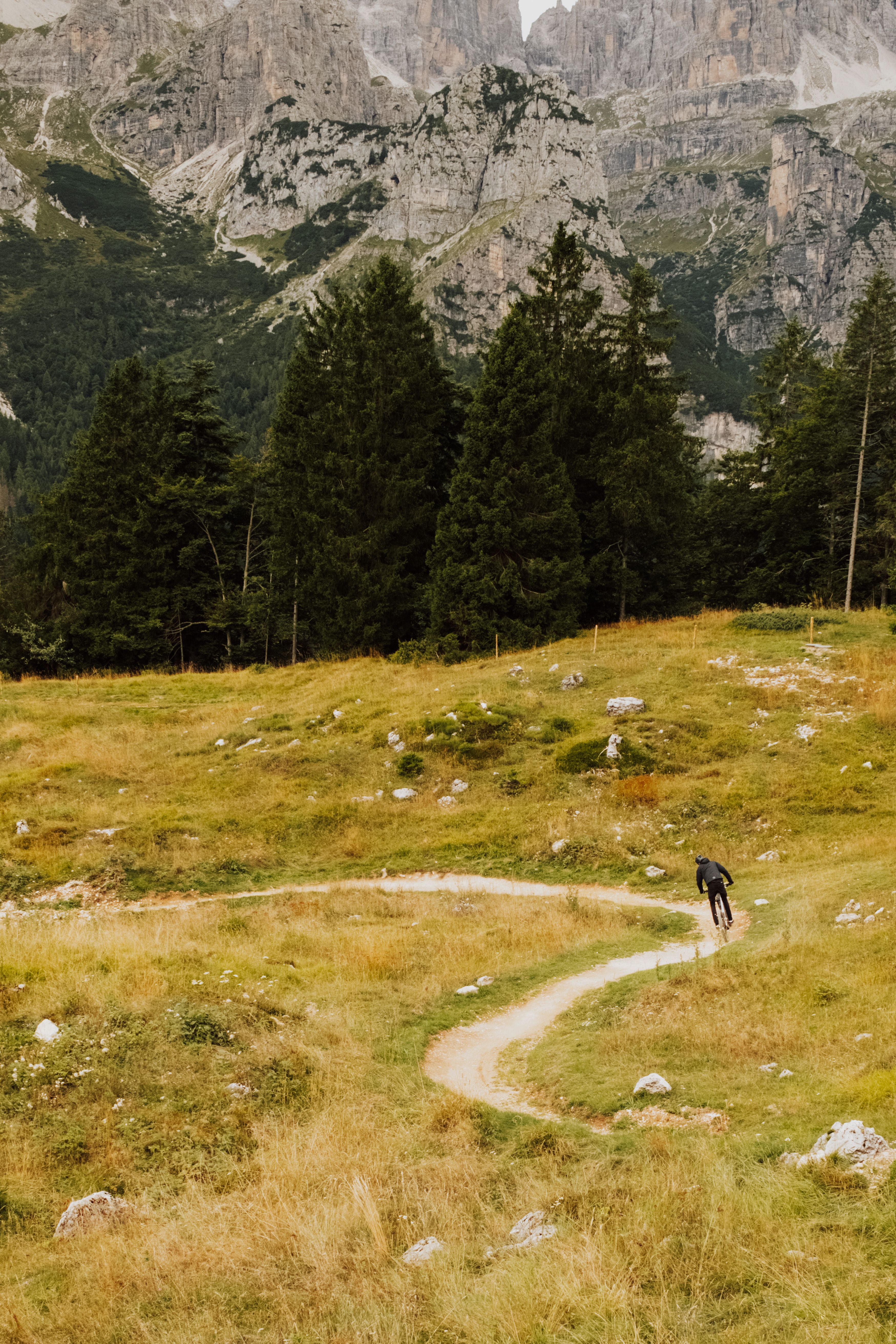Mountain bike su percorso di montagna