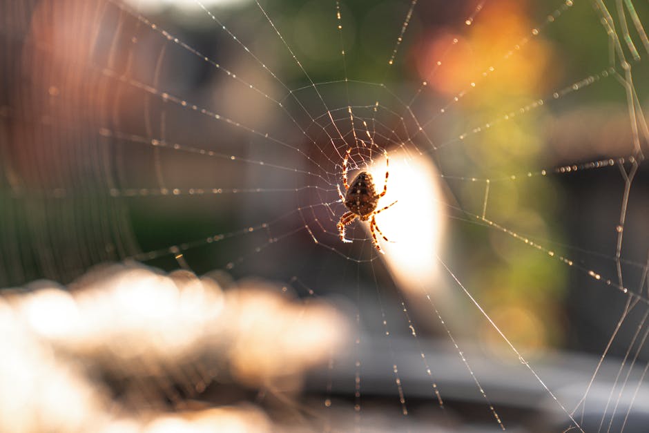 Anatomy of a toilet trap showing the S-bend where most clogs occur - unclog toilet in Salt Lake City Anatomy of a toilet trap showing the S-bend where most clogs occur - unclog toilet in Salt Lake City