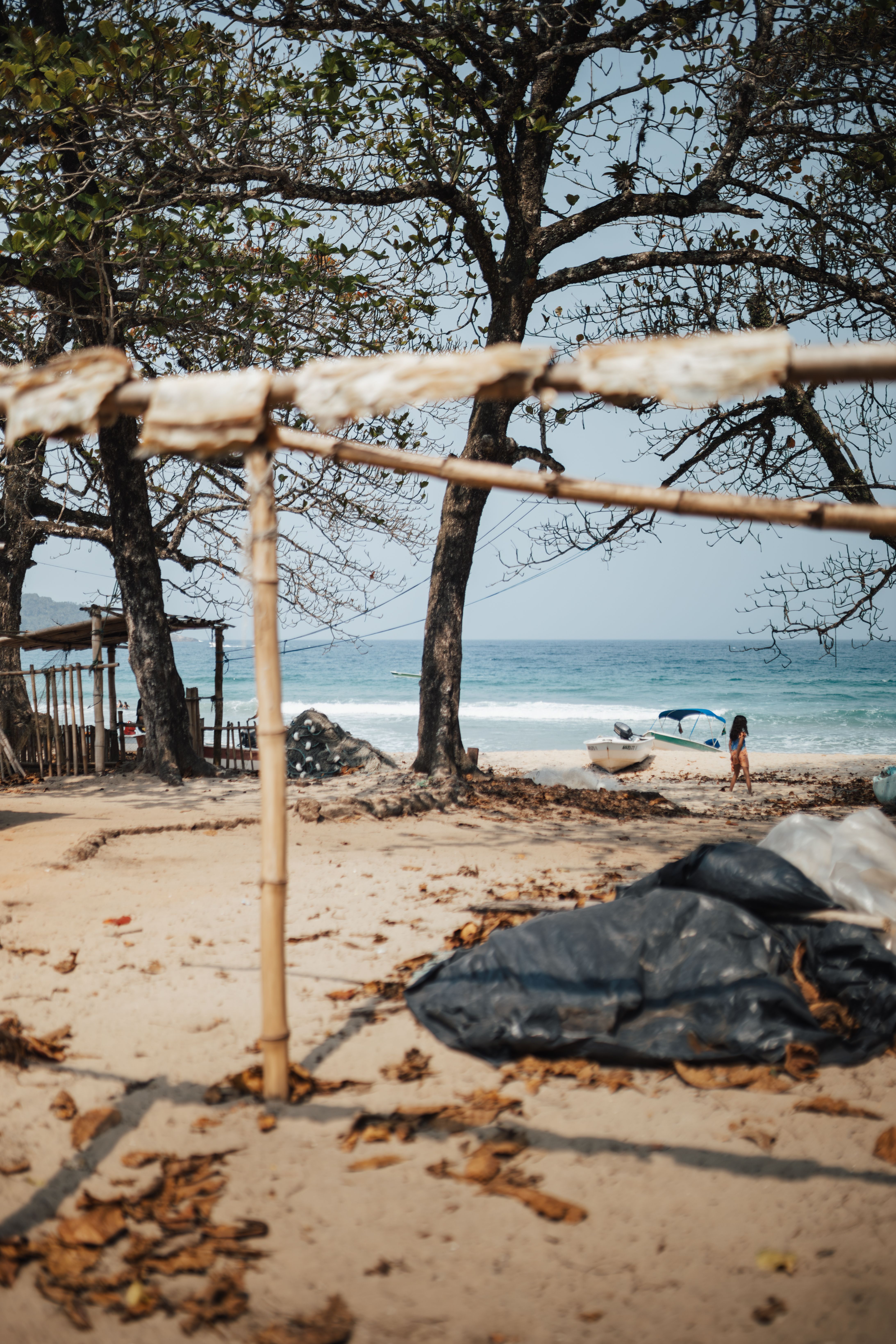 Rustic Beach Scene with Bamboo and Ocean View · Free Stock Photo