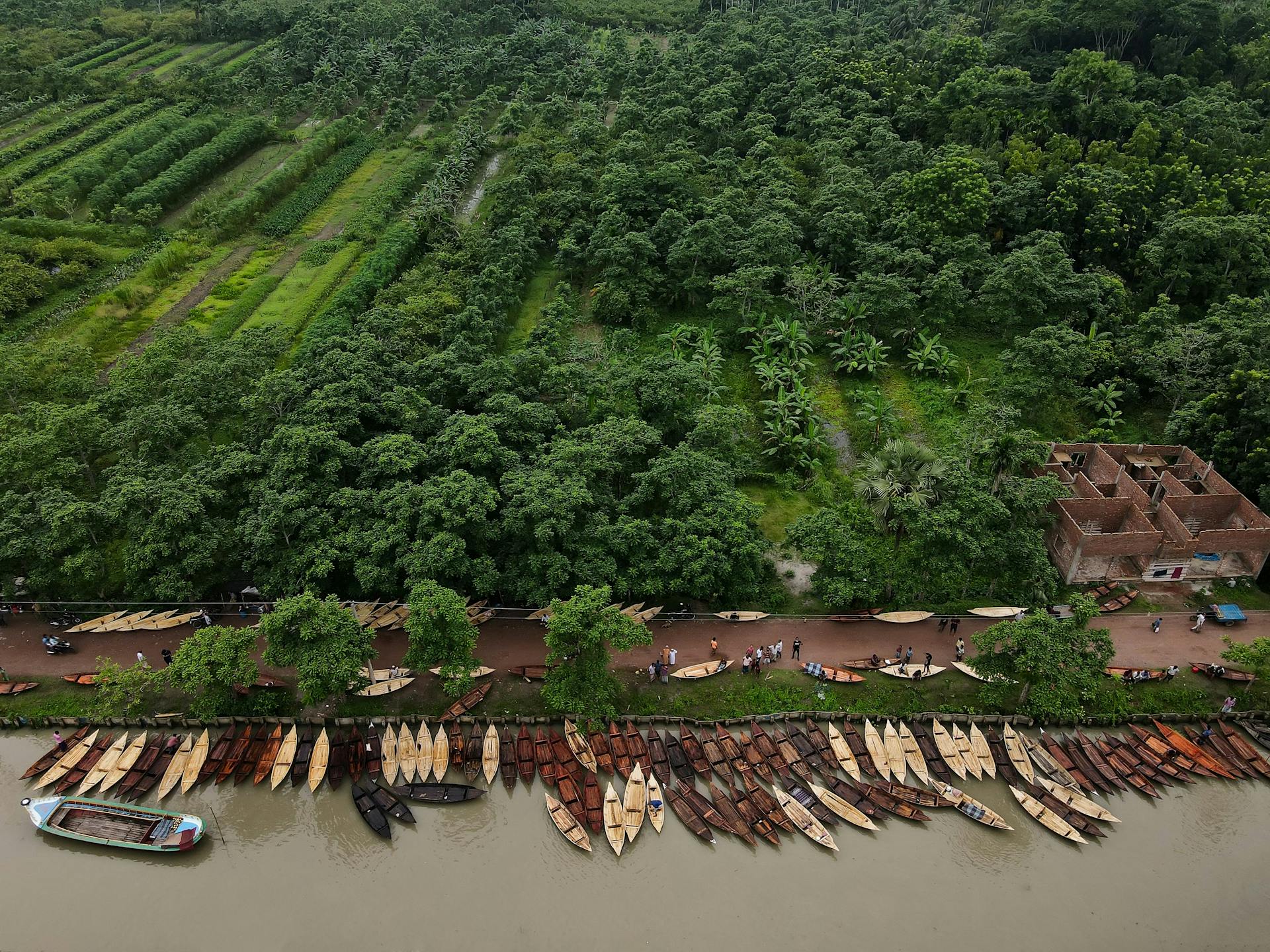 Aerial perspective showcasing boats along a lush riverbank in rural Bangladesh landscape.