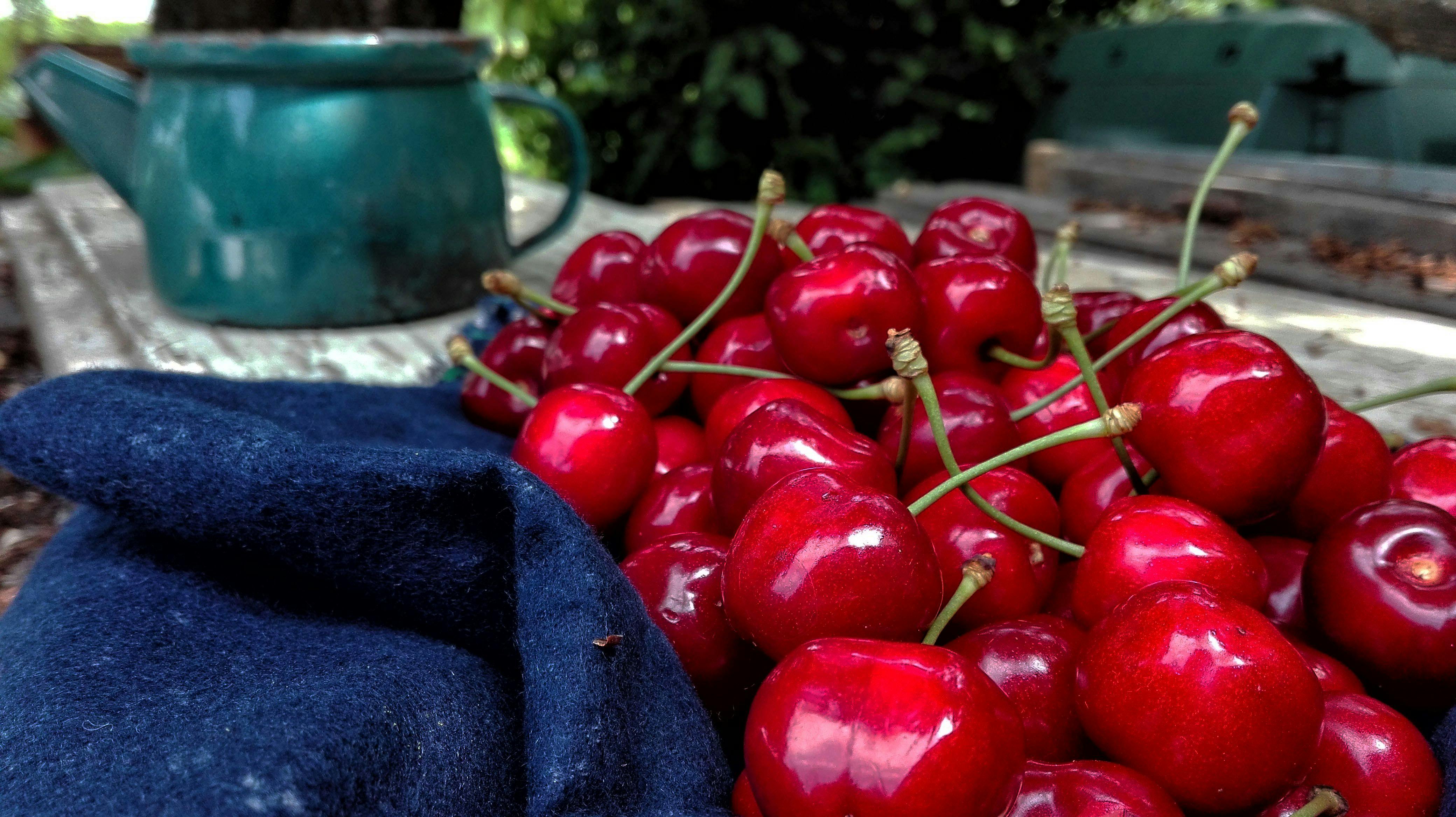 Free stock photo of cherries, fruits, red fruits