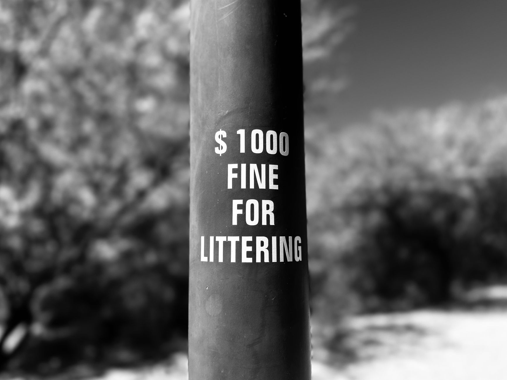 Amendă de până la 1500 lei pentru parcările necorespunzătoare în Timișoara