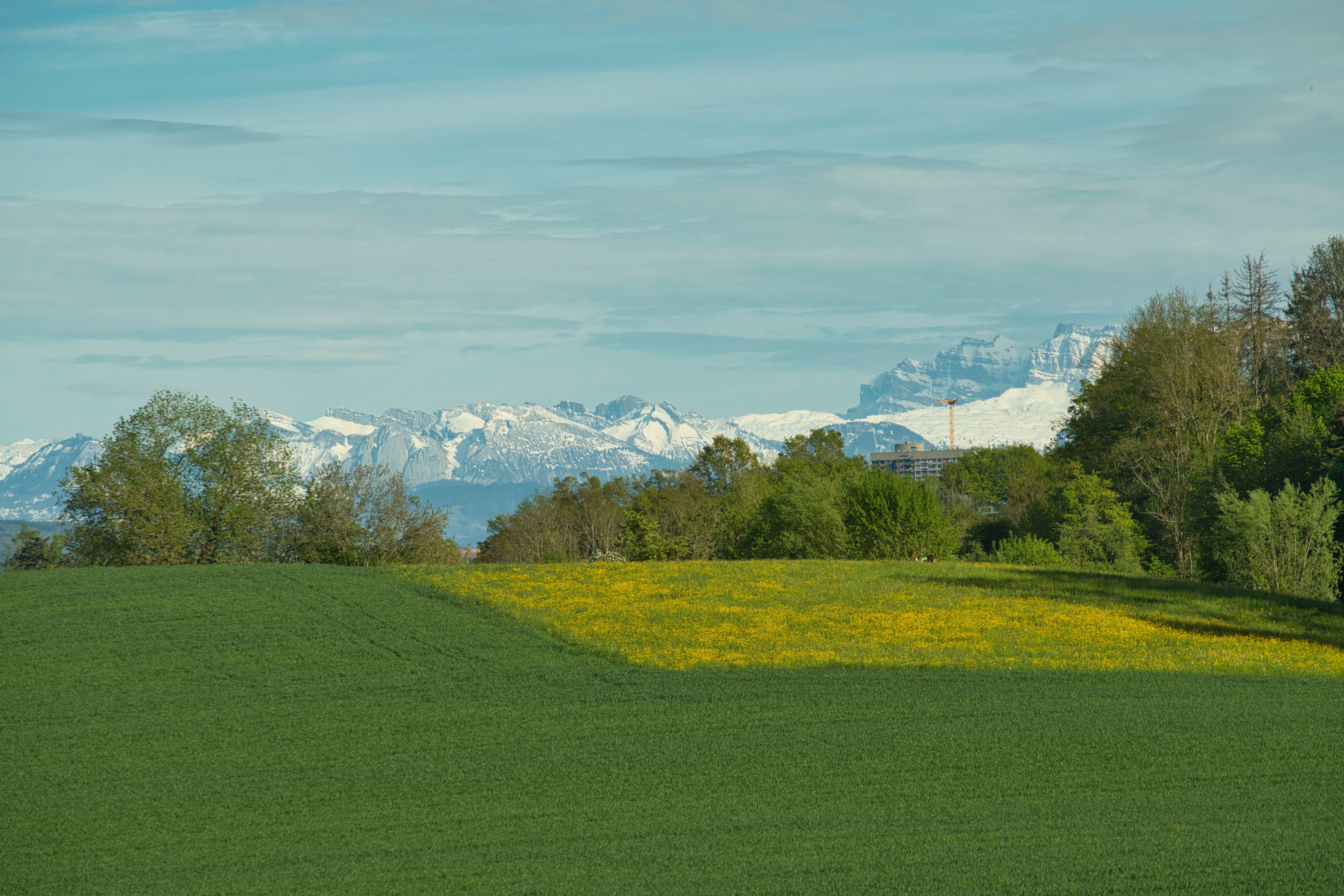 2 Day Private Shibari & Tantra Retreat for Couples in Zurich 3