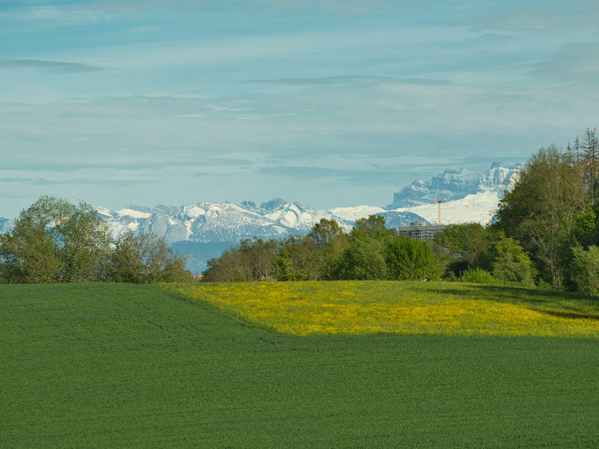 2 Day Private Shibari & Tantra Retreat for Couples in Zurich 3