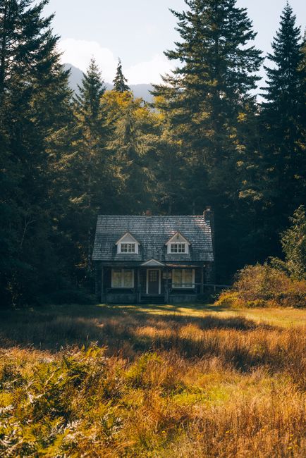 A rustic cottage surrounded by autumn trees in a serene forest landscape.