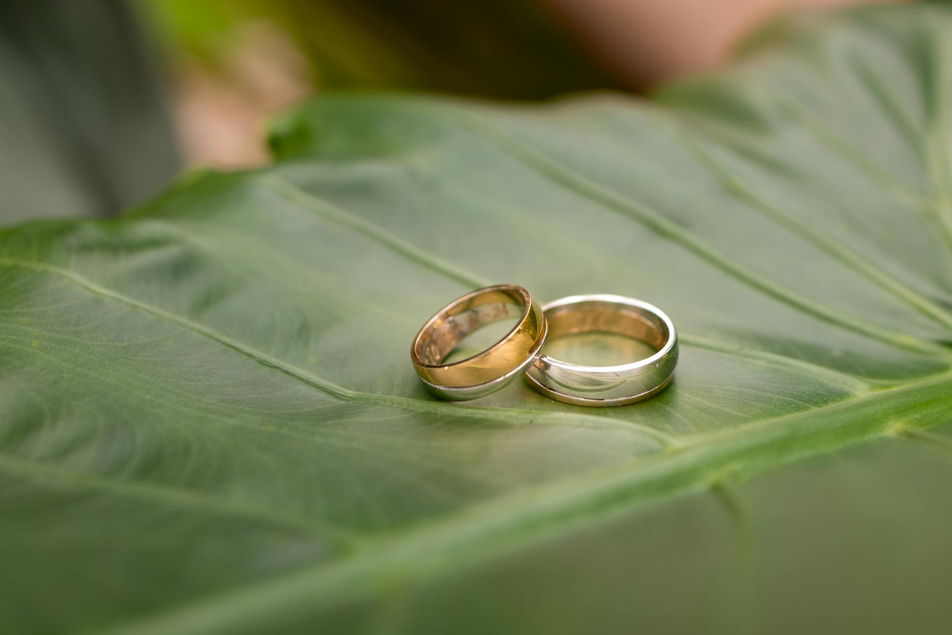 Close-up of wedding rings on a lush green leaf symbolizing unity and love.