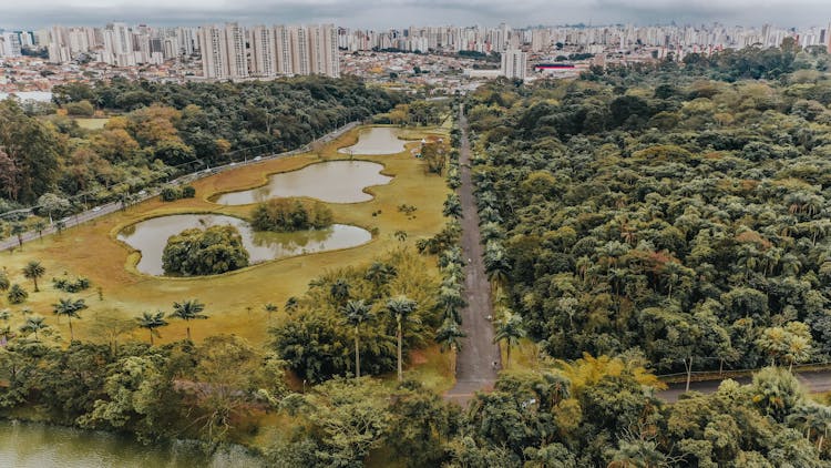 Central Park, New York