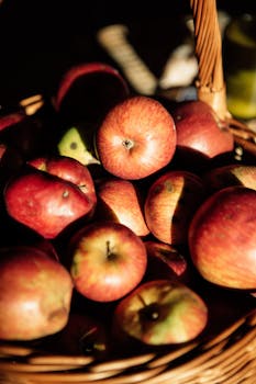 Close-up of red apples in a basket, bathed in warm sunlight, evoking a cozy autumn feel.