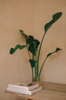 A serene minimalist interior featuring a Bird of Paradise plant and books on a wooden table.