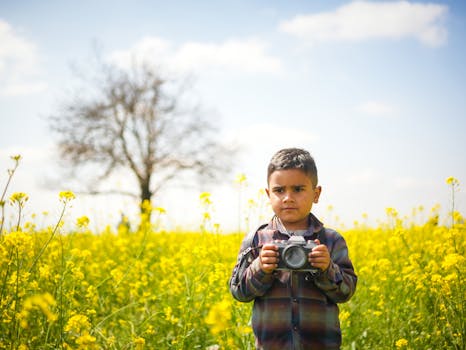 A child with a camera standing in a vibrant mustard field in Pampore under a bright blue sky.