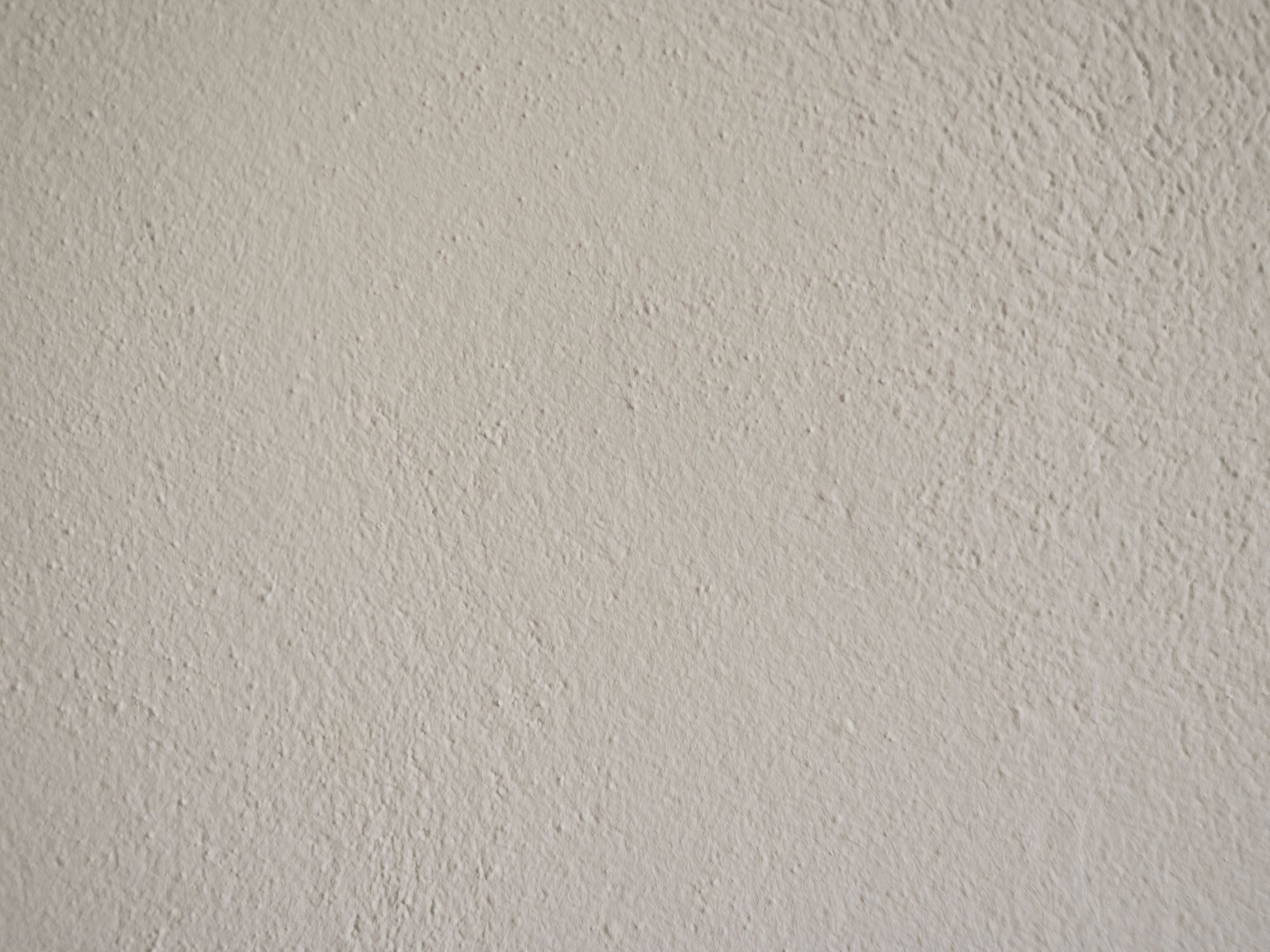 House Painting in Forest Hill, Lewisham — house painters transforming a home room by room