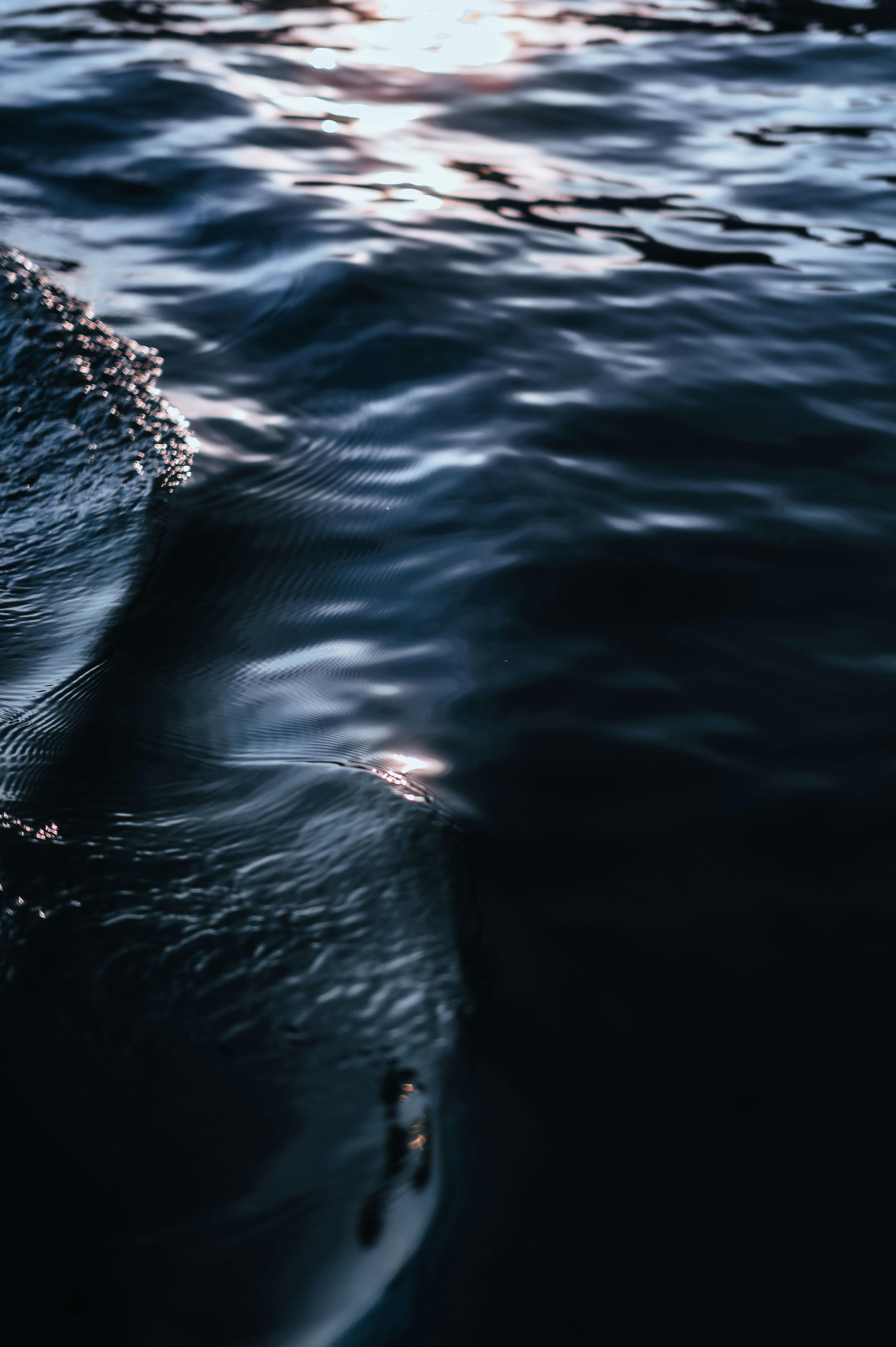Atmospheric view of calm dark water reflecting soft sunset light, evoking serenity.