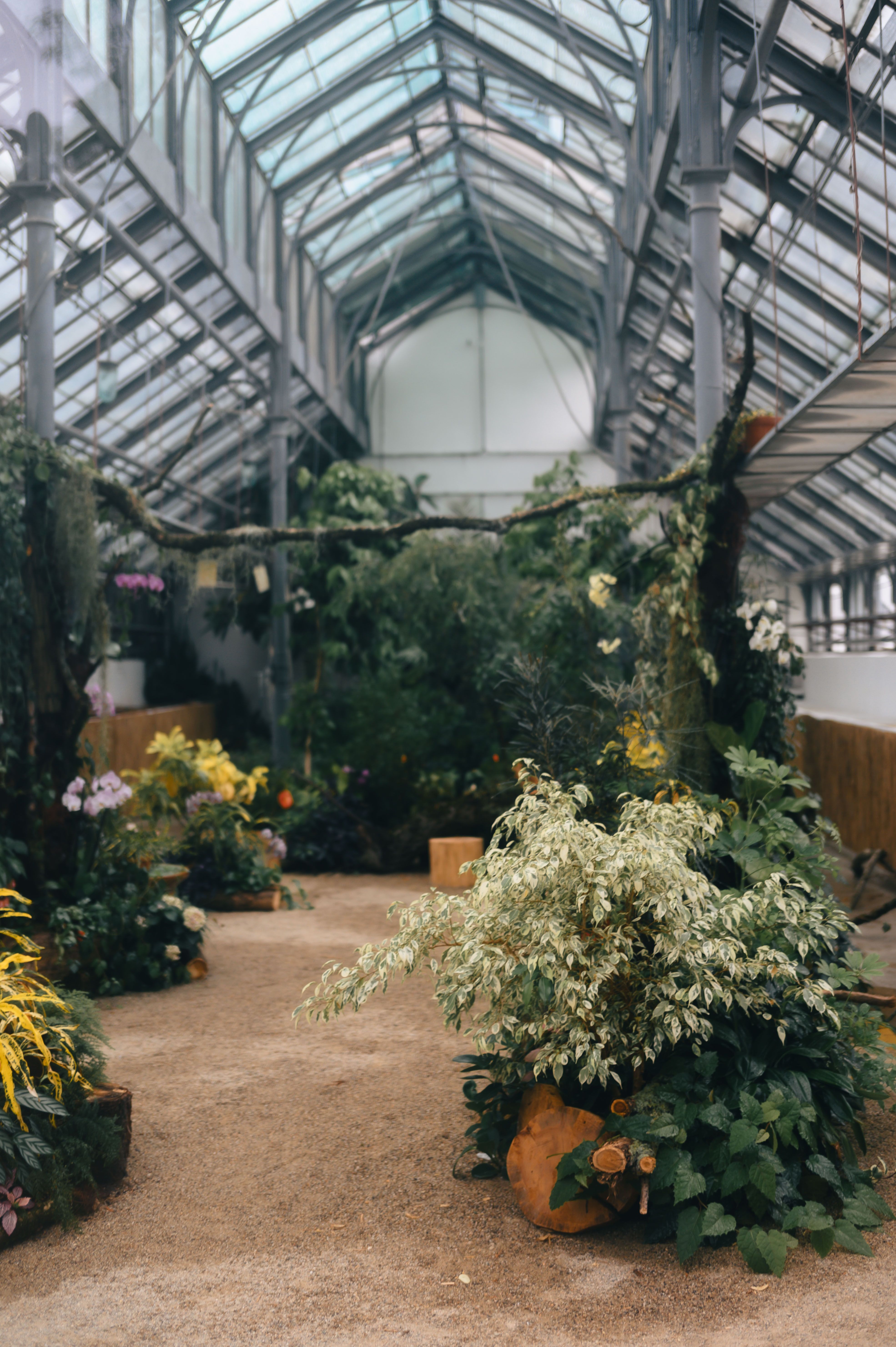 Modern Rooftop Garden