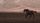 running horse