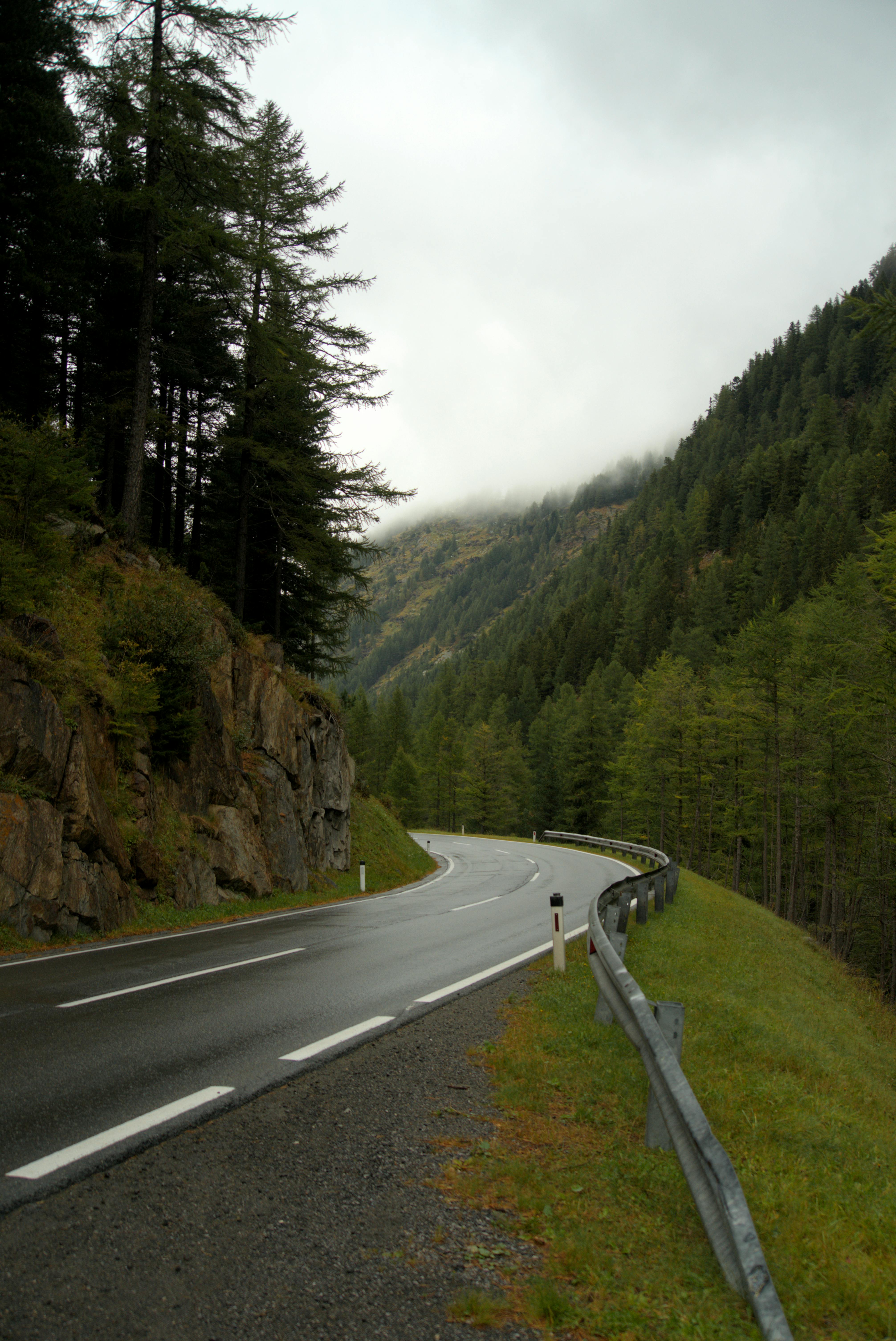 Serene mountain road winding through lush forests in Soelden, Tyrol on an overcast day.
