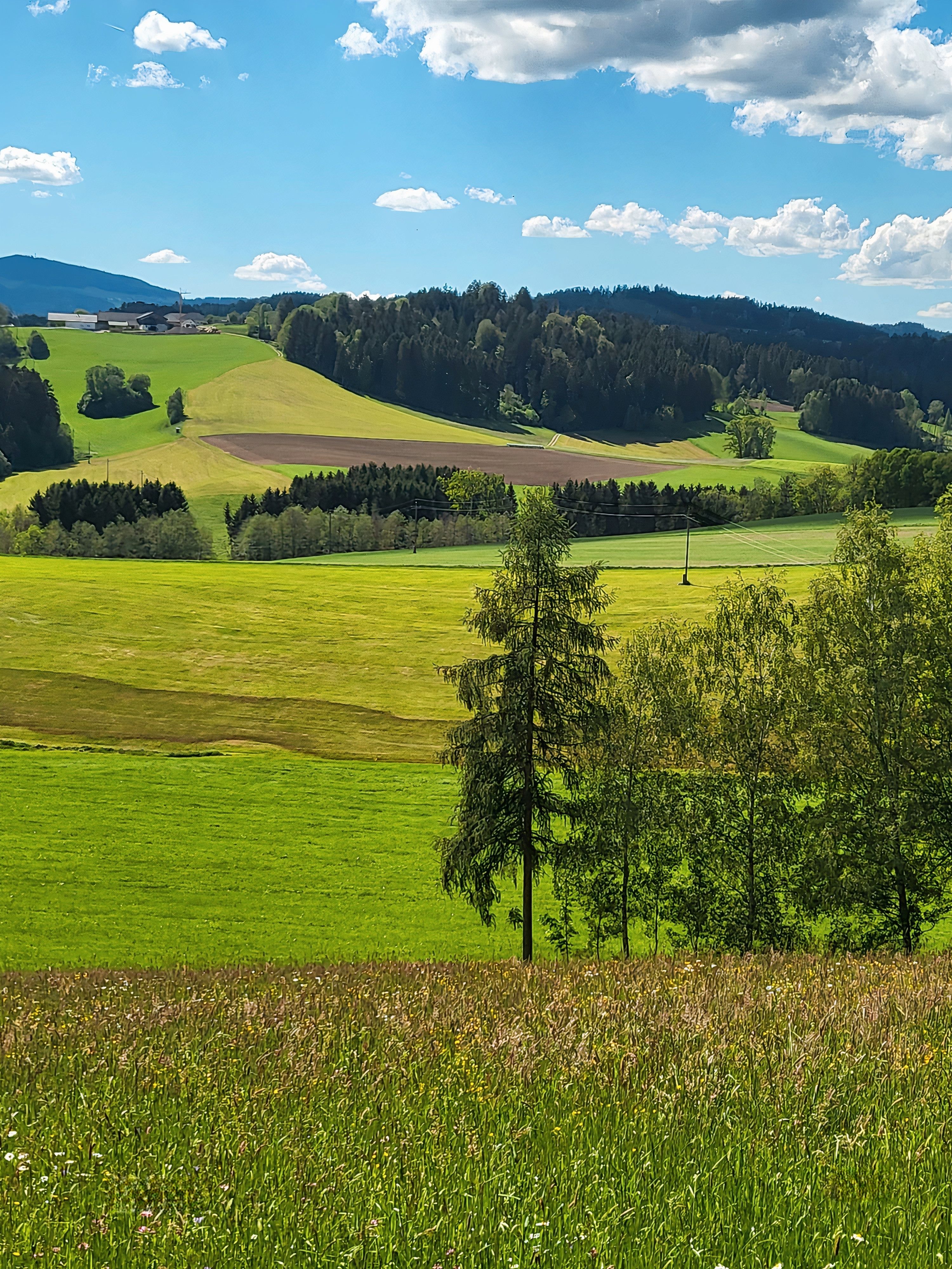 Picturesque rural landscape in Linz, Austria with rolling hills and green fields under a blue sky.